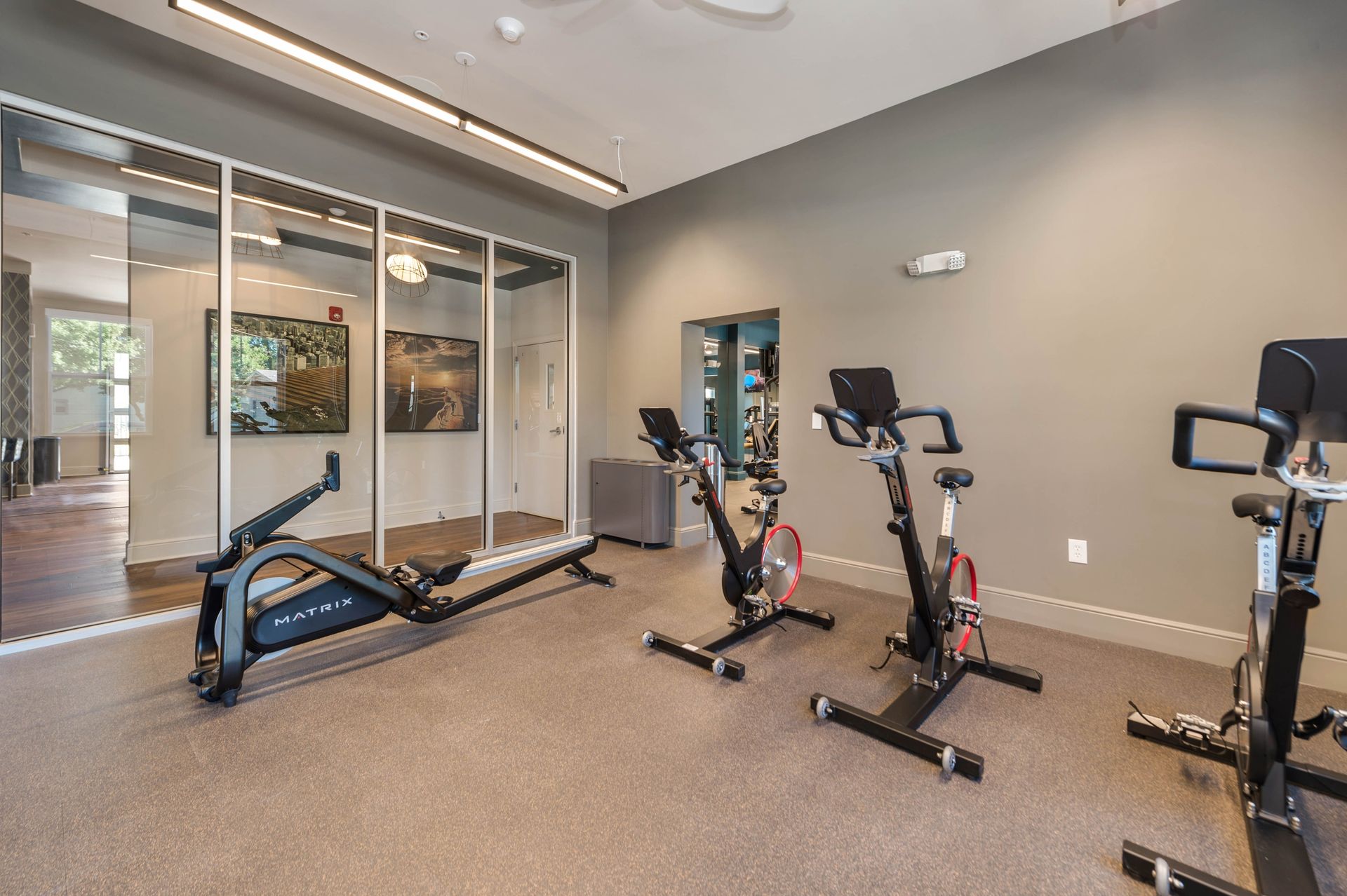 A gym with a row of exercise bikes and a rowing machine.