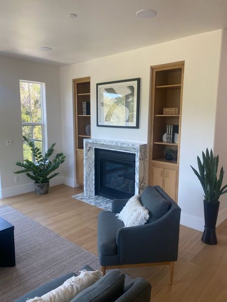 Bright living room with fireplace, built-in shelves, large plant, and a gray chair with white pillow.