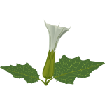 Weed Control Waxahachie TX