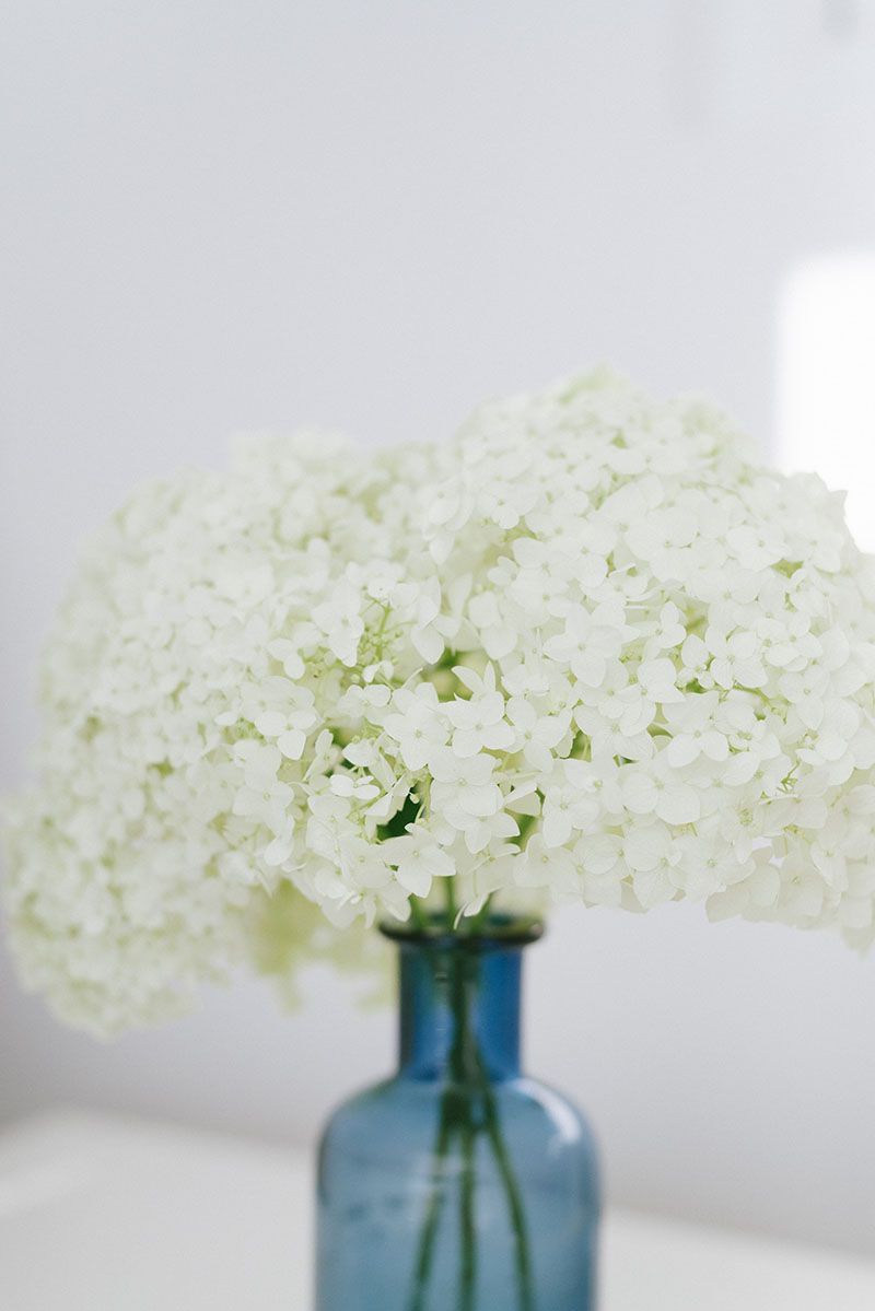 Send Flowers