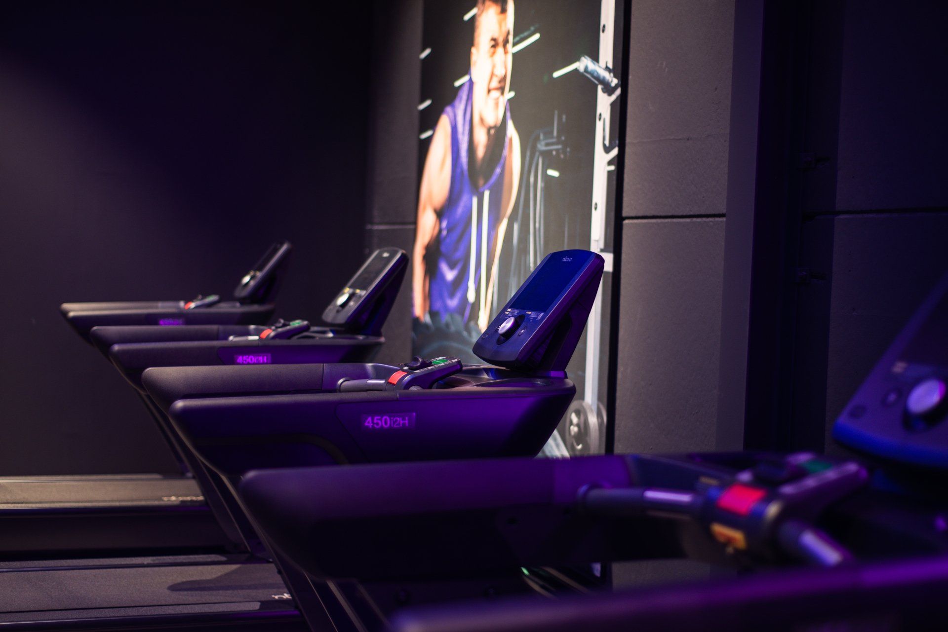 Row of treadmills in a dim room with a large photo on the wall.
