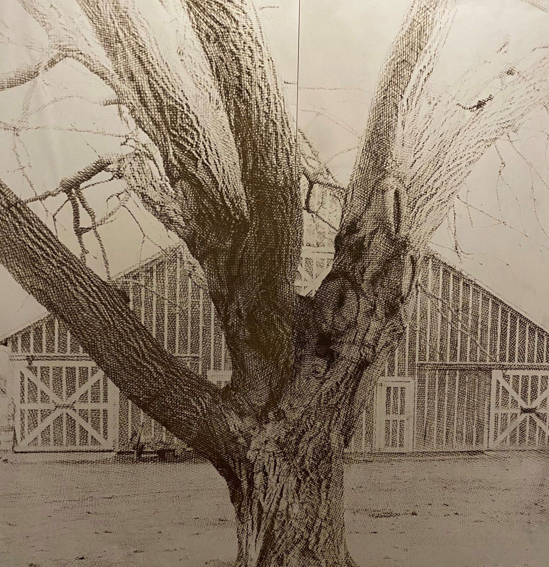 Our Roots Tree Photo