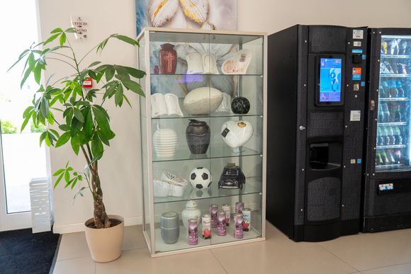 Una pianta in vaso accanto a una vetrina e a distributori automatici neri nella hall di un ufficio.