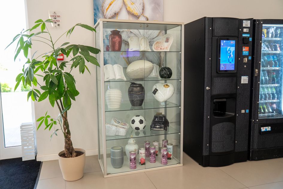 Atrio dell'ufficio con pianta in vaso, vetrina con ciotole e distributori automatici.