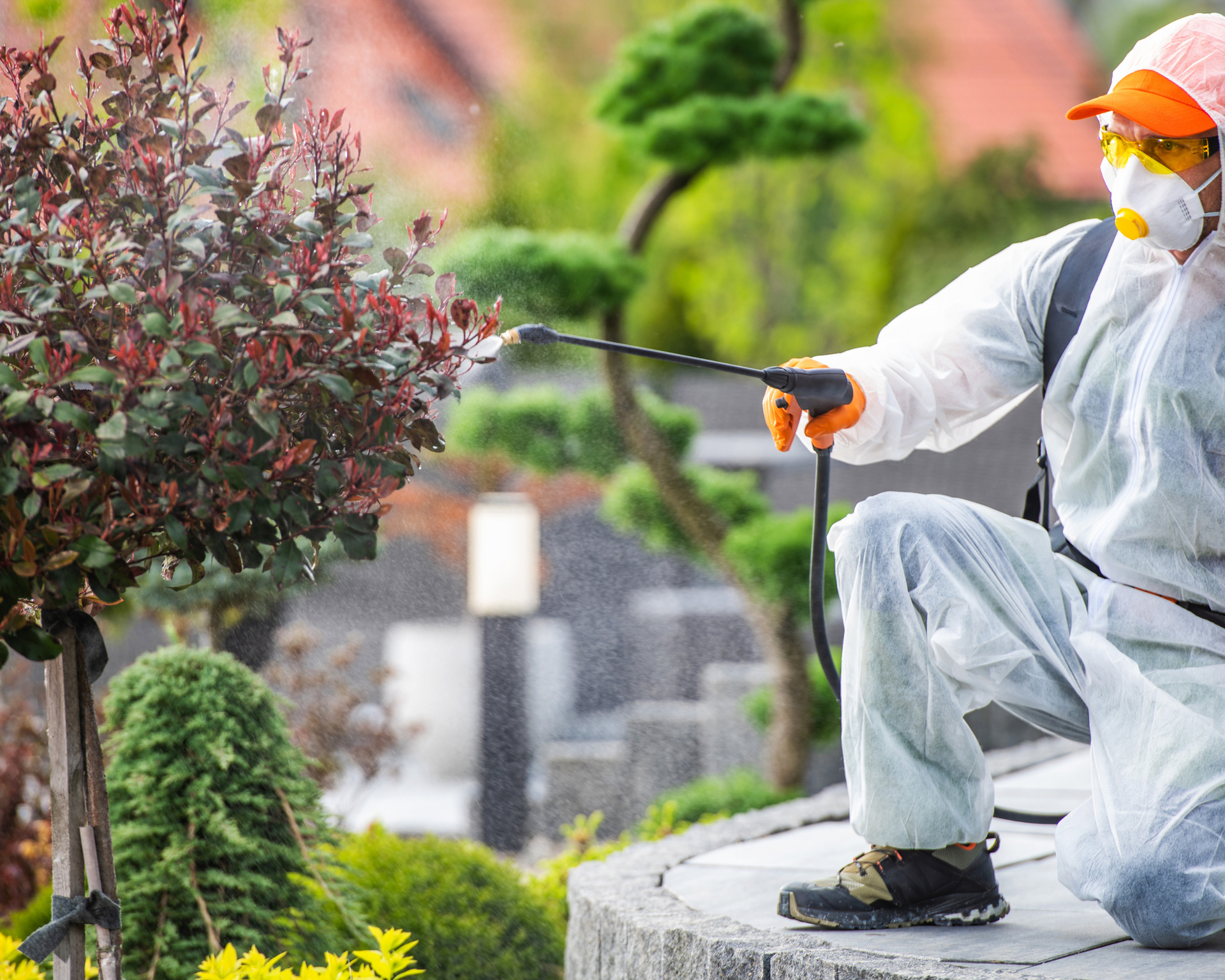 st augustine pest control for hornets and wasps