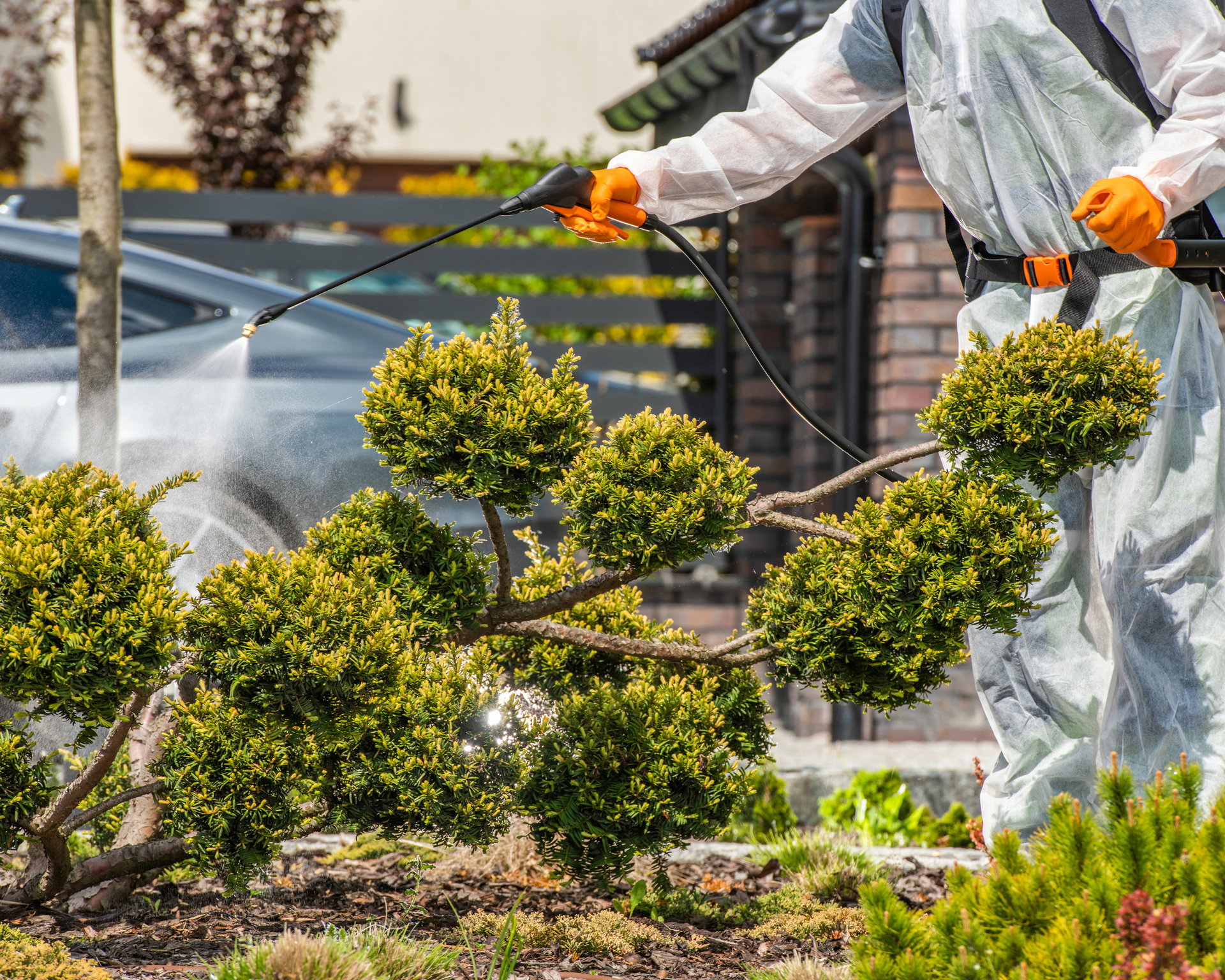 mosquito control and extermination in st. augustine fl