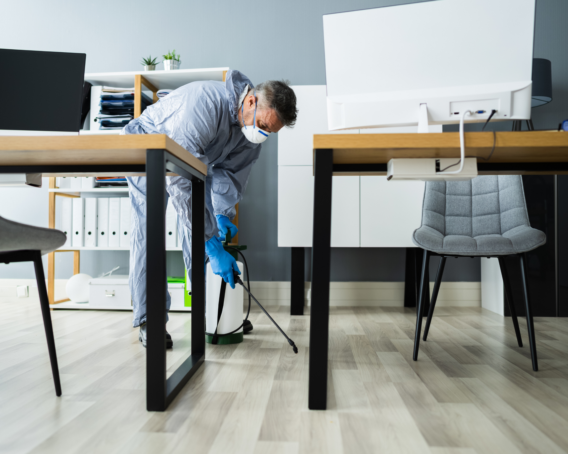 ant control services