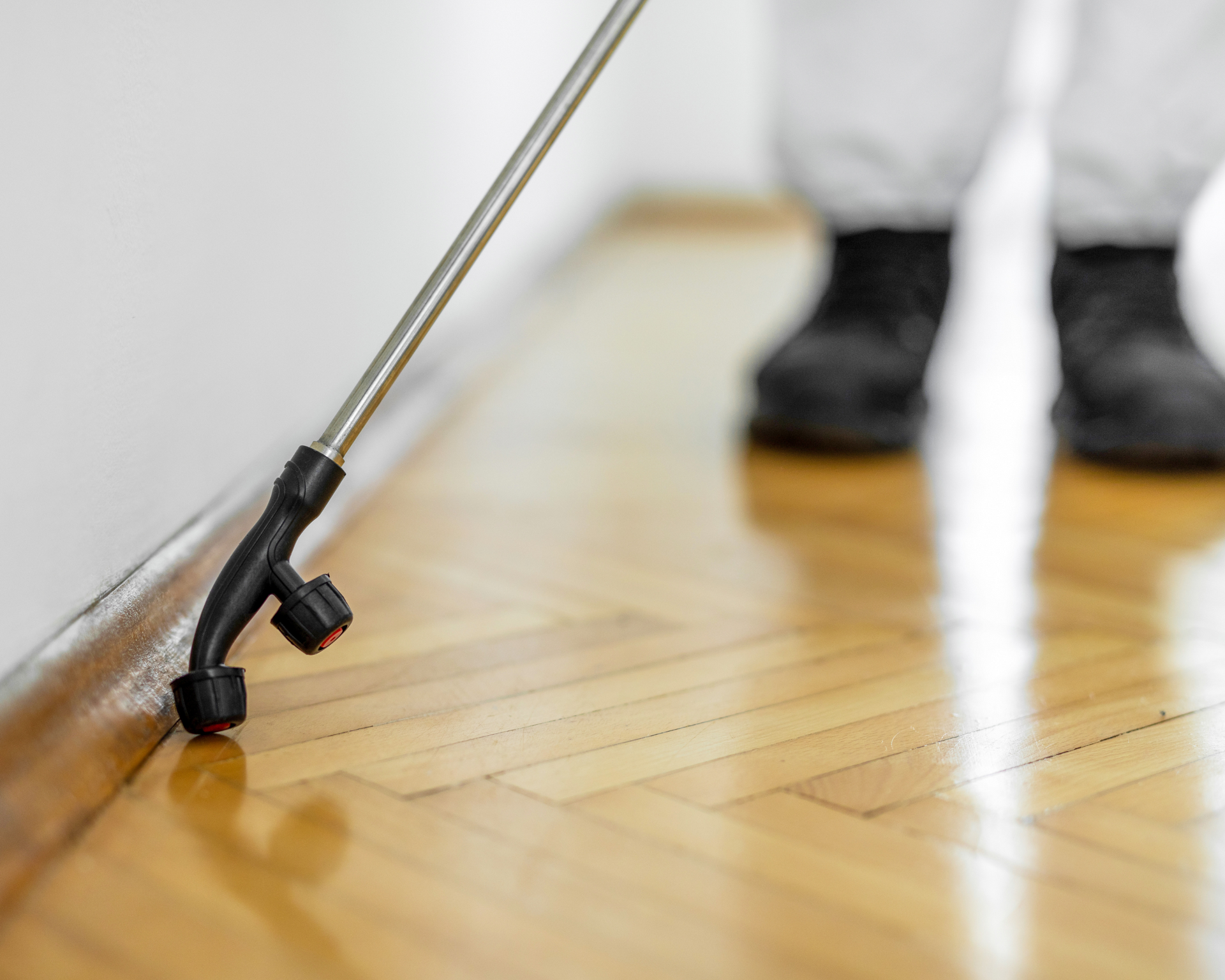 st augustine pest control
