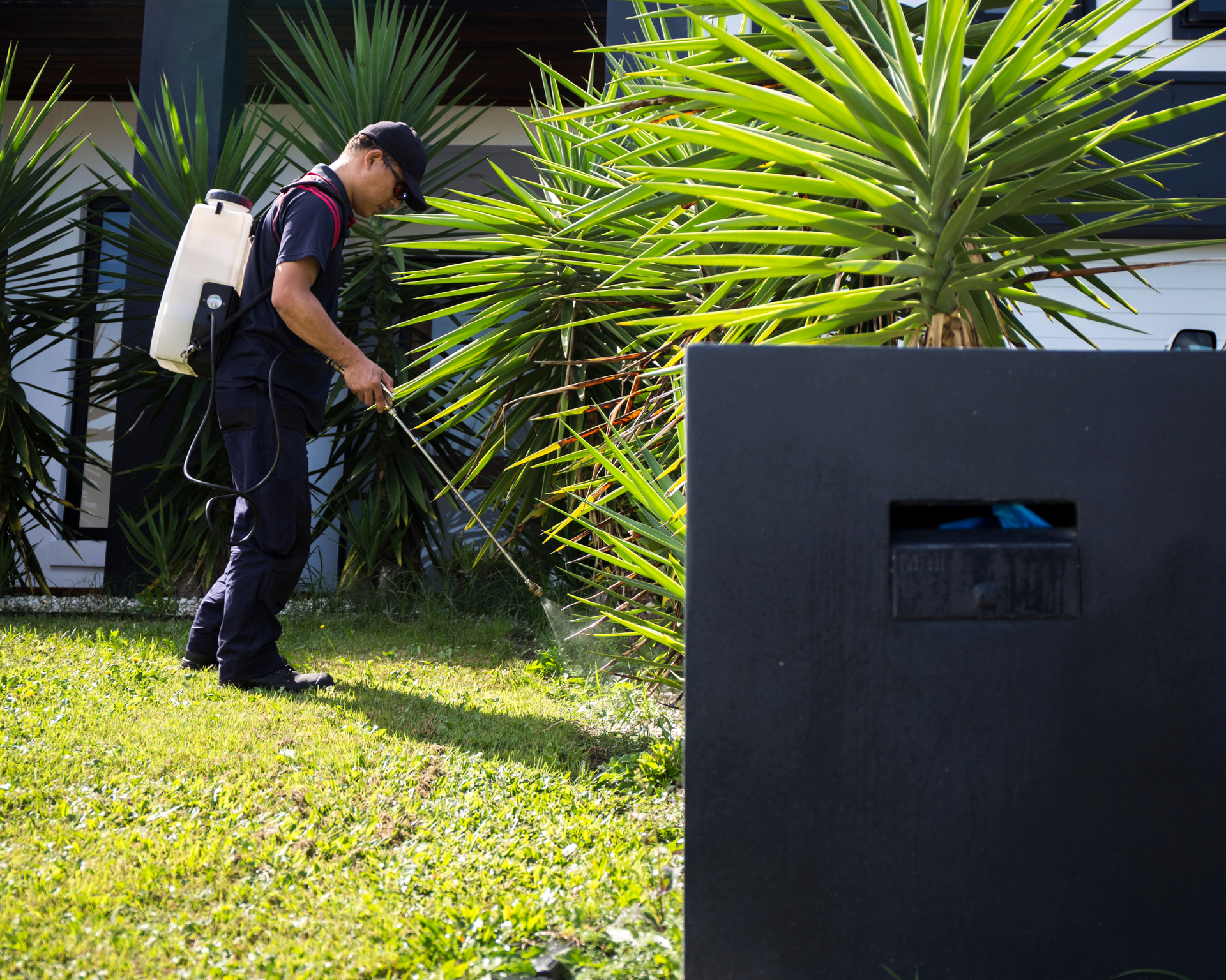 How Can Weather Changes Affect Pest Activity Around Your Home