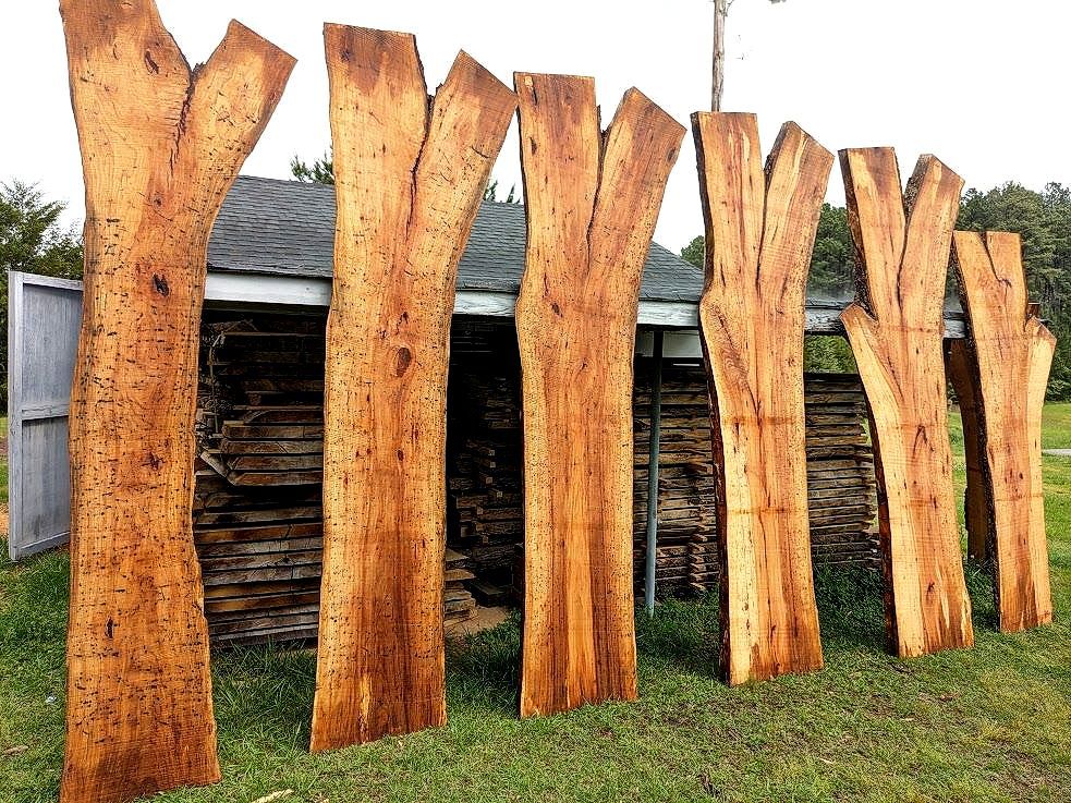 Live Edge Maple Slabs for Custom Furniture Projects in Charlotte & Ashville NC