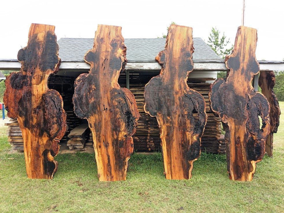 Red Oak 12 Foot Burl in Charlotte & Ashville NC, Shipping Nationwide.