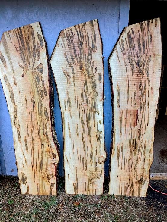 Ambrosia Maple Live Edge Slabs For Custom Furniture in Charlotte & Asheville NC