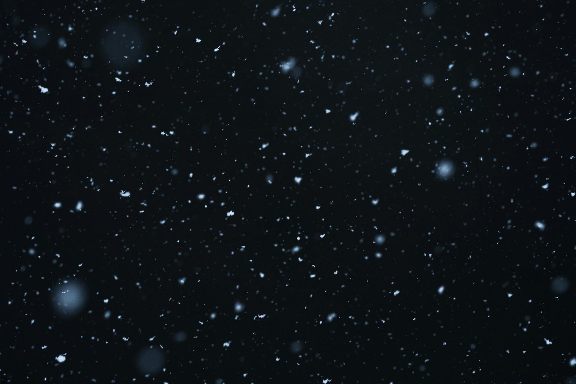 Snow is falling in the night sky on a black background.