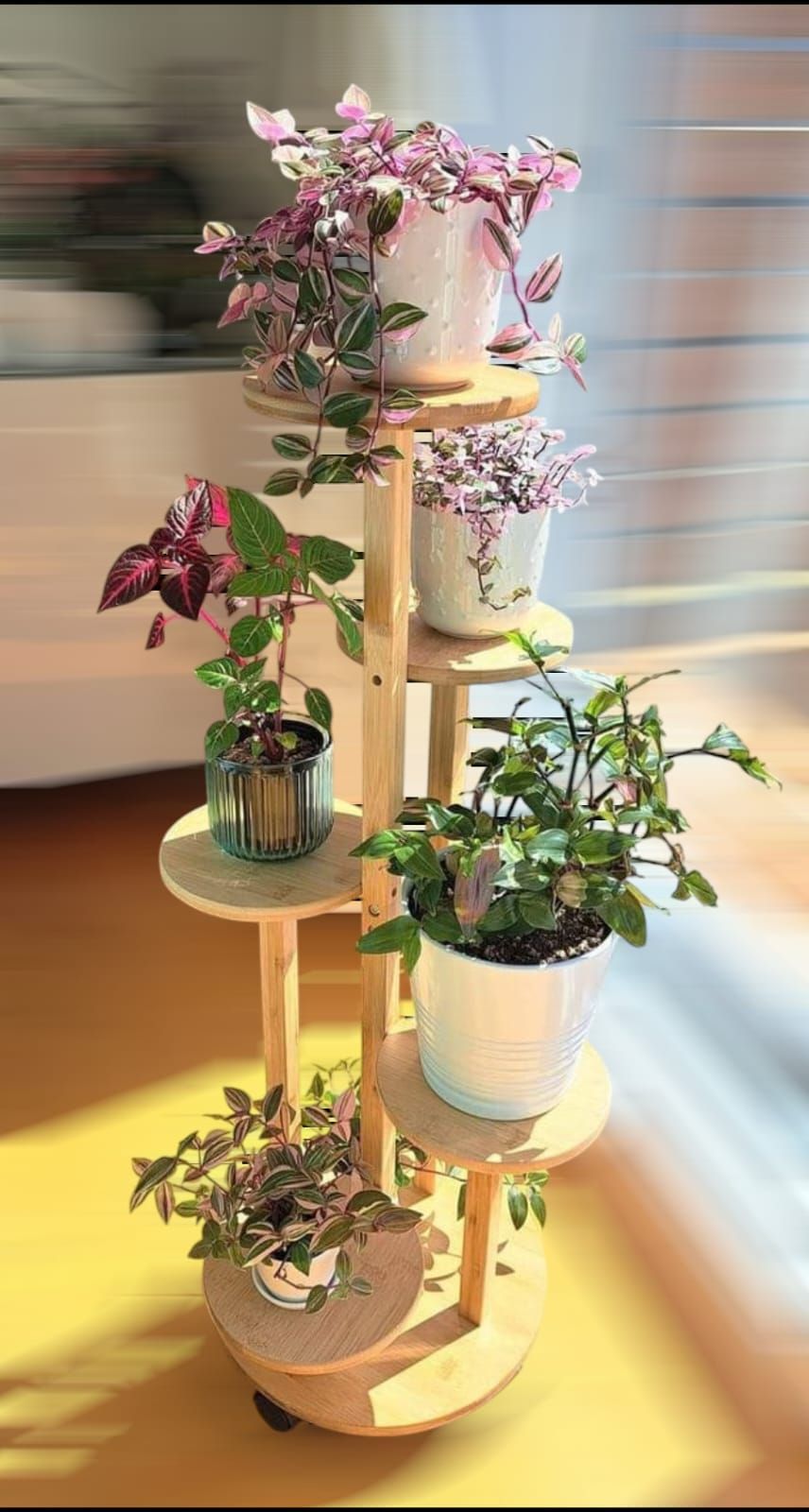 Soporte de madera para plantas con seis niveles, que contiene varias plantas en macetas con follaje verde y rosa, iluminado por la luz solar.