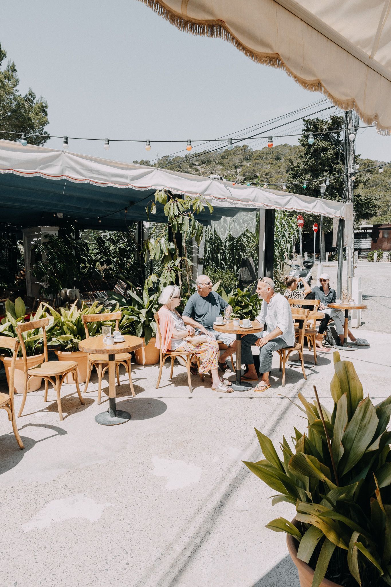 Los clientes se sientan en pequeñas mesas redondas bajo un toldo en un café al aire libre con plantas exuberantes e iluminación soleada.