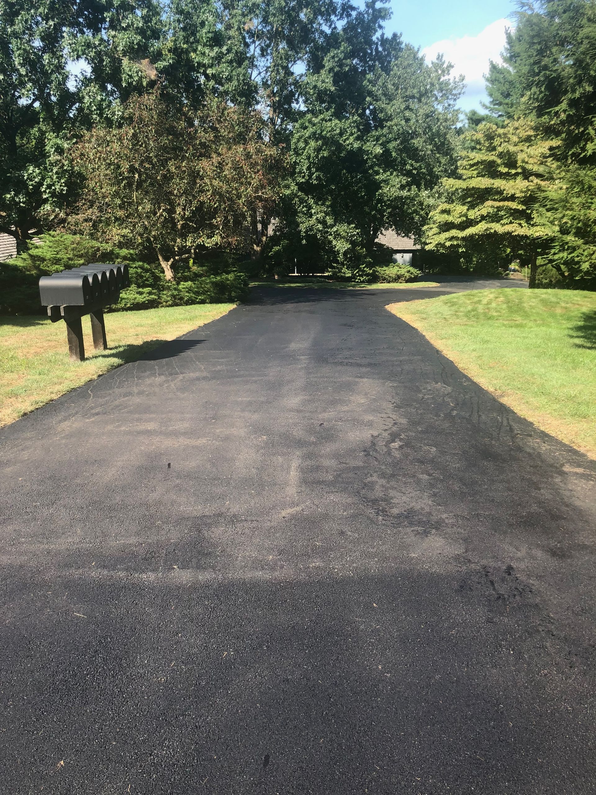 Asphalt Driveway