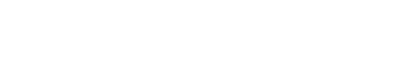 SPAZZACAMINO FUOCO & DINTORNI logo