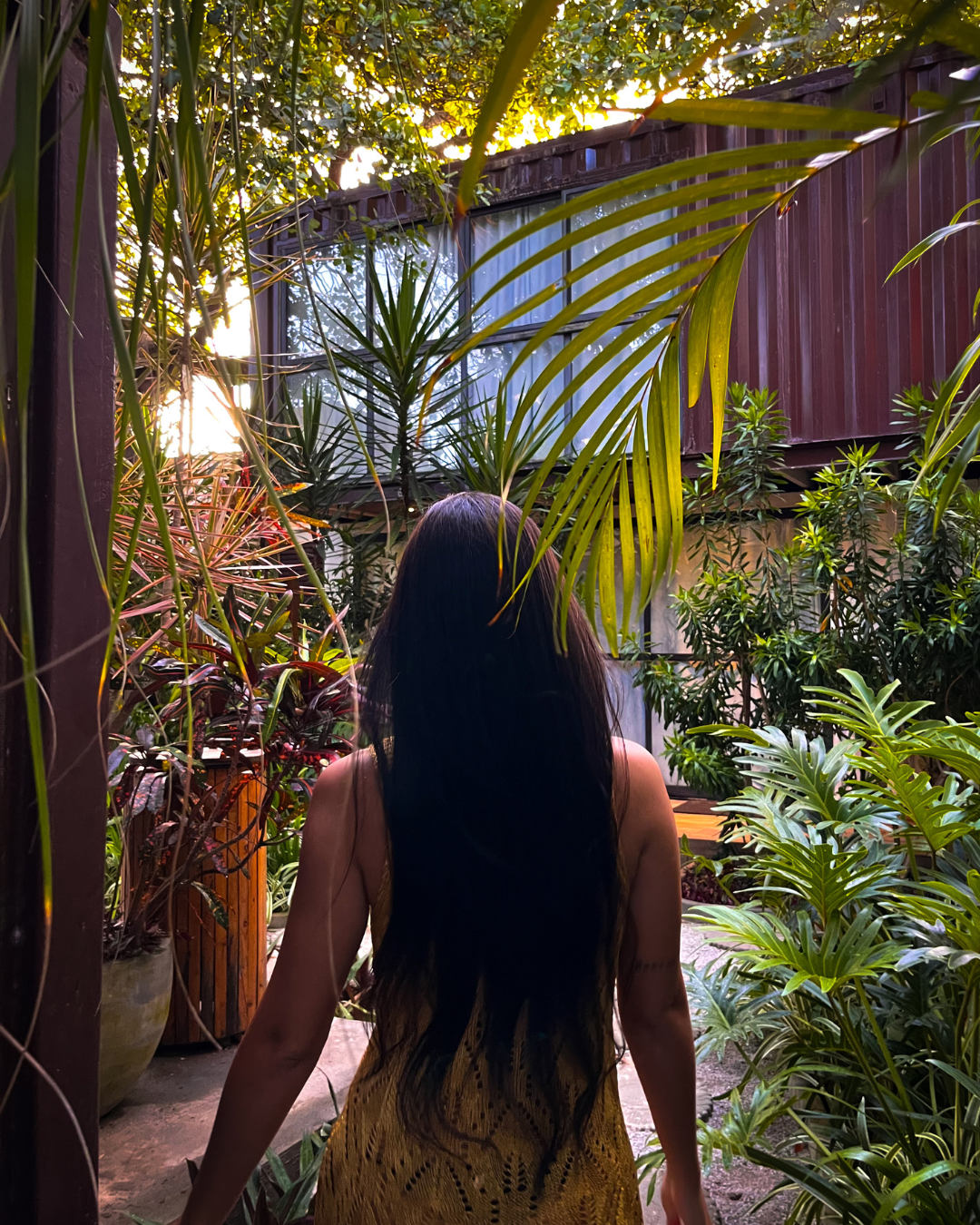 Pessoa vista de costas em um jardim exuberante, de frente para uma casa com plantas tropicais e luz solar direta.
