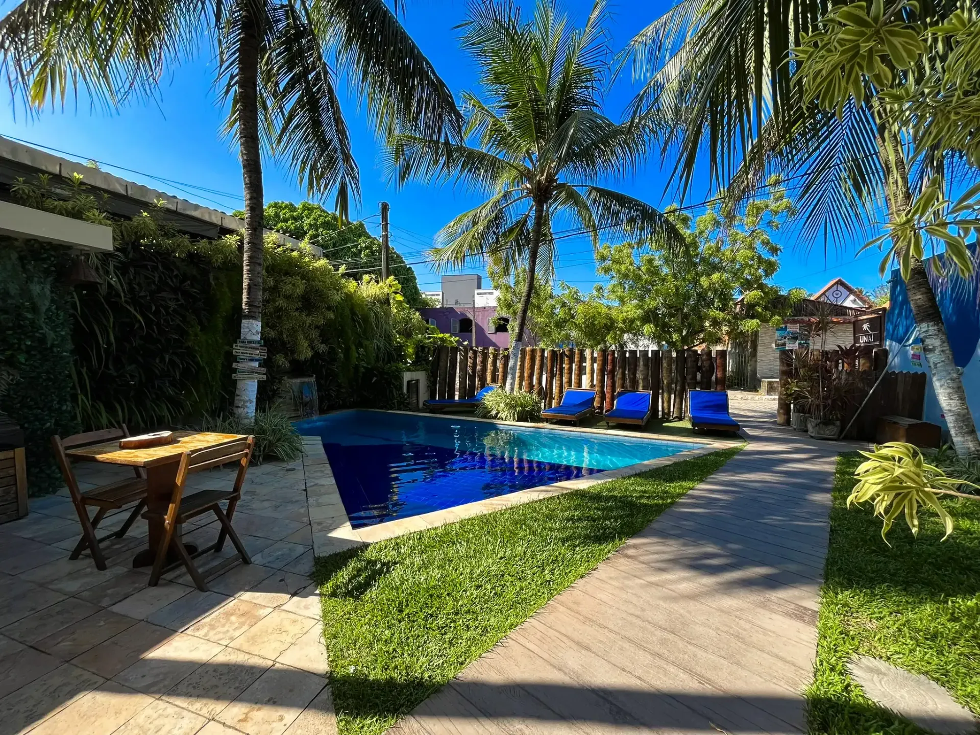 Quintal ensolarado com piscina azul, palmeiras, espreguiçadeiras e um pátio de azulejos sob um céu claro.