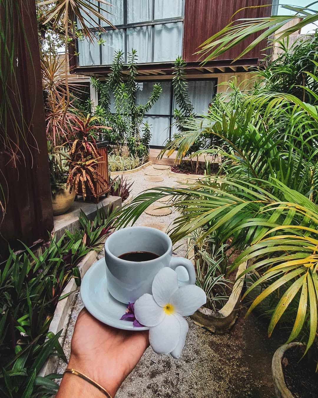 Mão segurando uma xícara de café cinza ao lado de uma flor branca em um exuberante pátio de jardim.