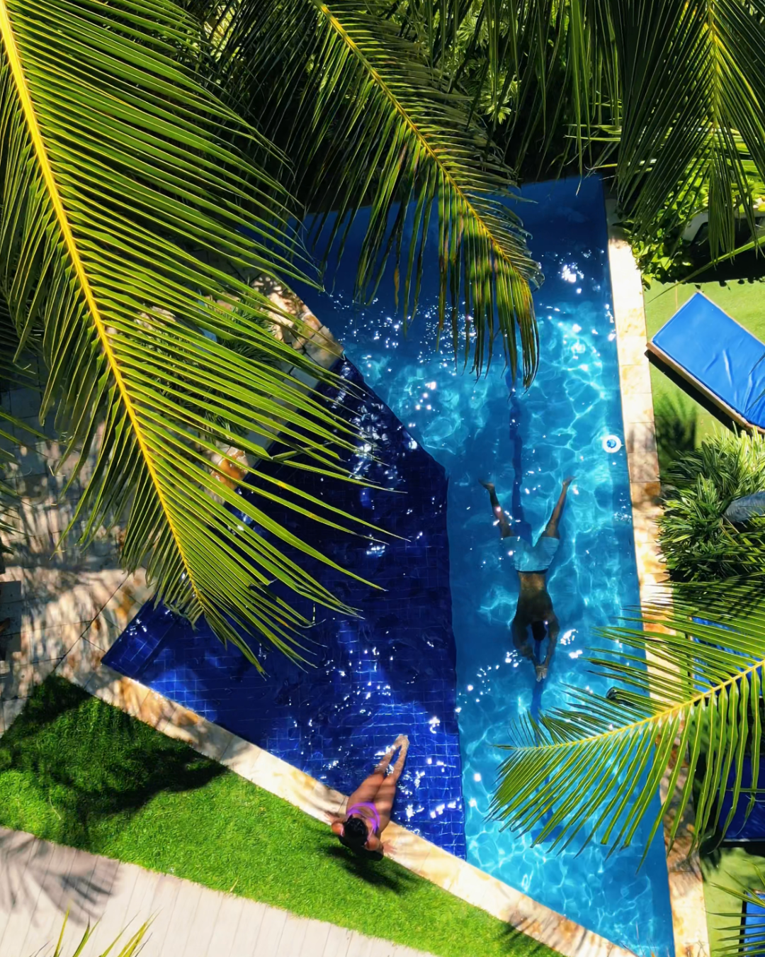 Vista aérea de uma piscina azul rodeada por palmeiras e vegetação tropical.