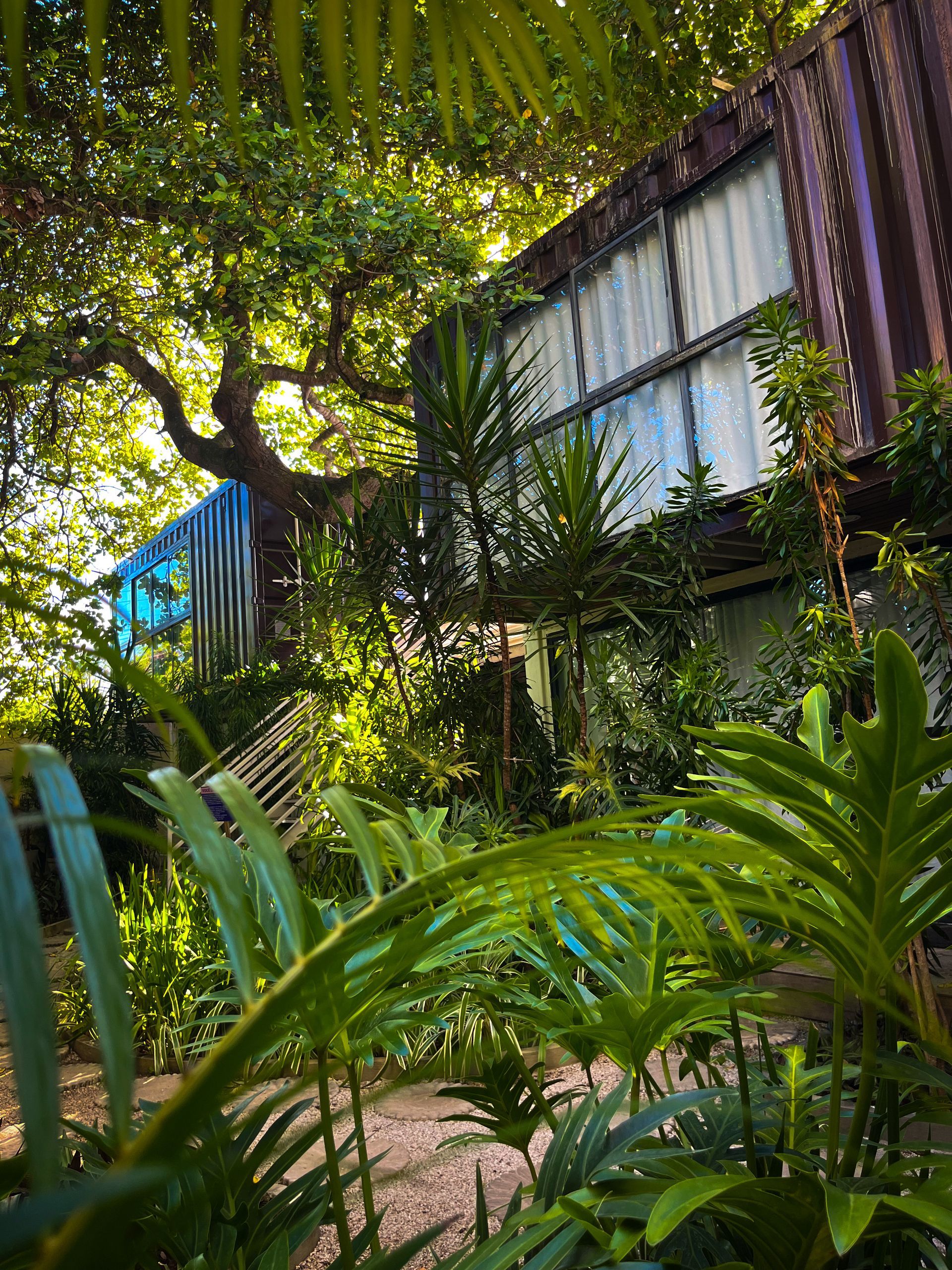 Jardim tropical com plantas verdejantes, uma árvore e uma pequena casa com revestimento de metal ondulado.