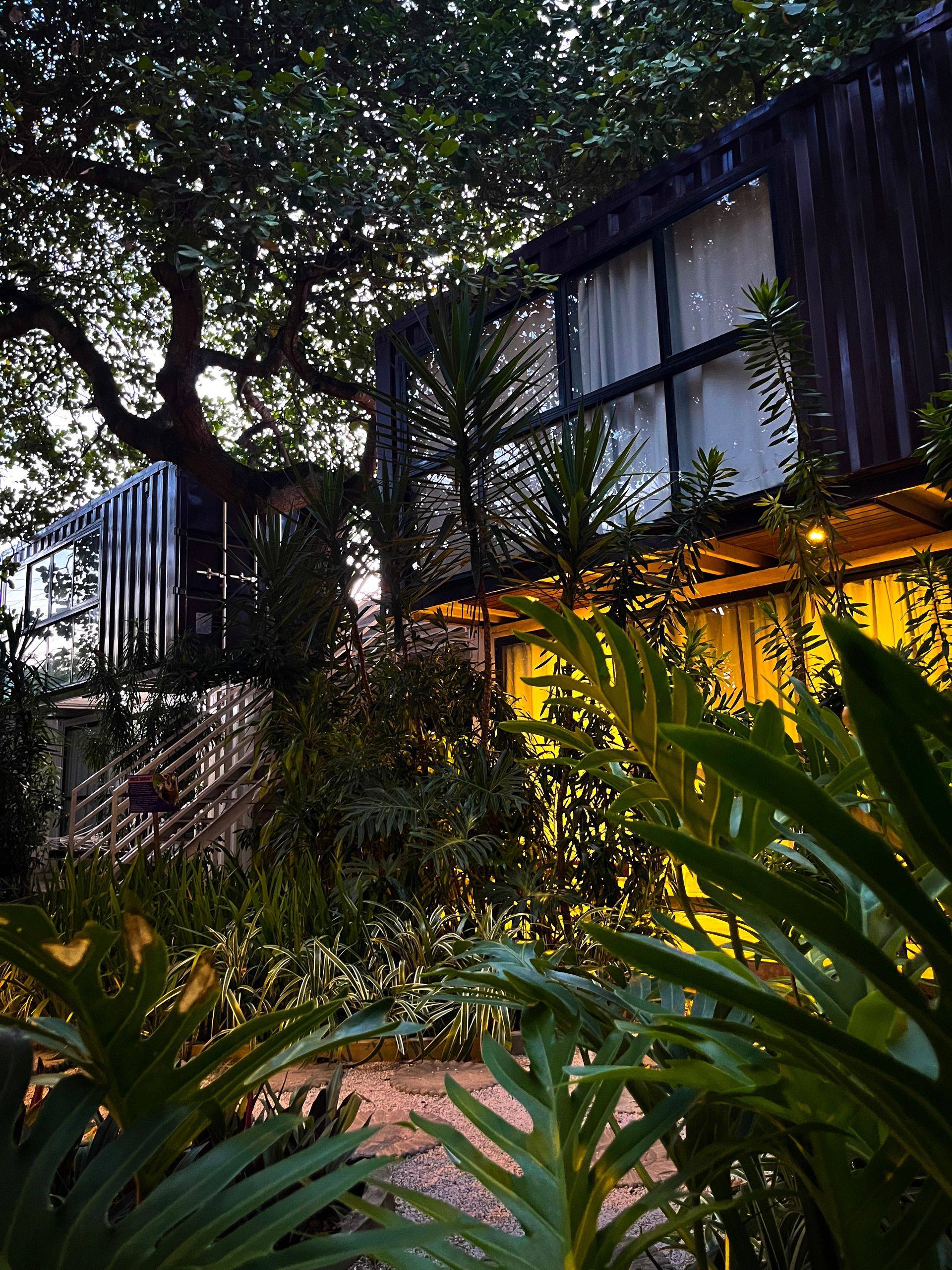 Jardim tropical com plantas exuberantes e um edifício aconchegantemente iluminado ao entardecer.