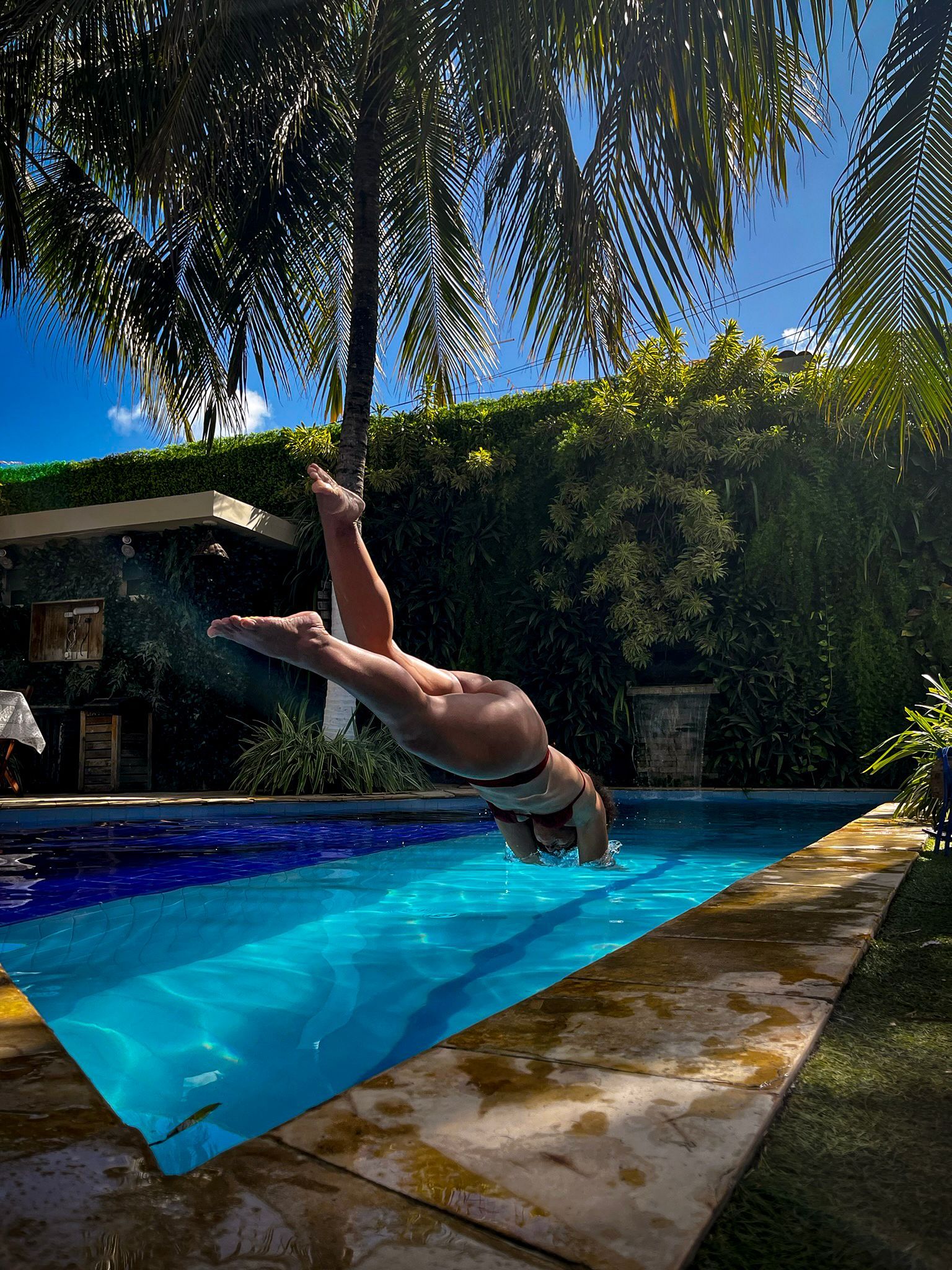 Pessoa fazendo parada de mãos na borda de uma piscina azul, com palmeiras e um quintal ensolarado ao fundo.