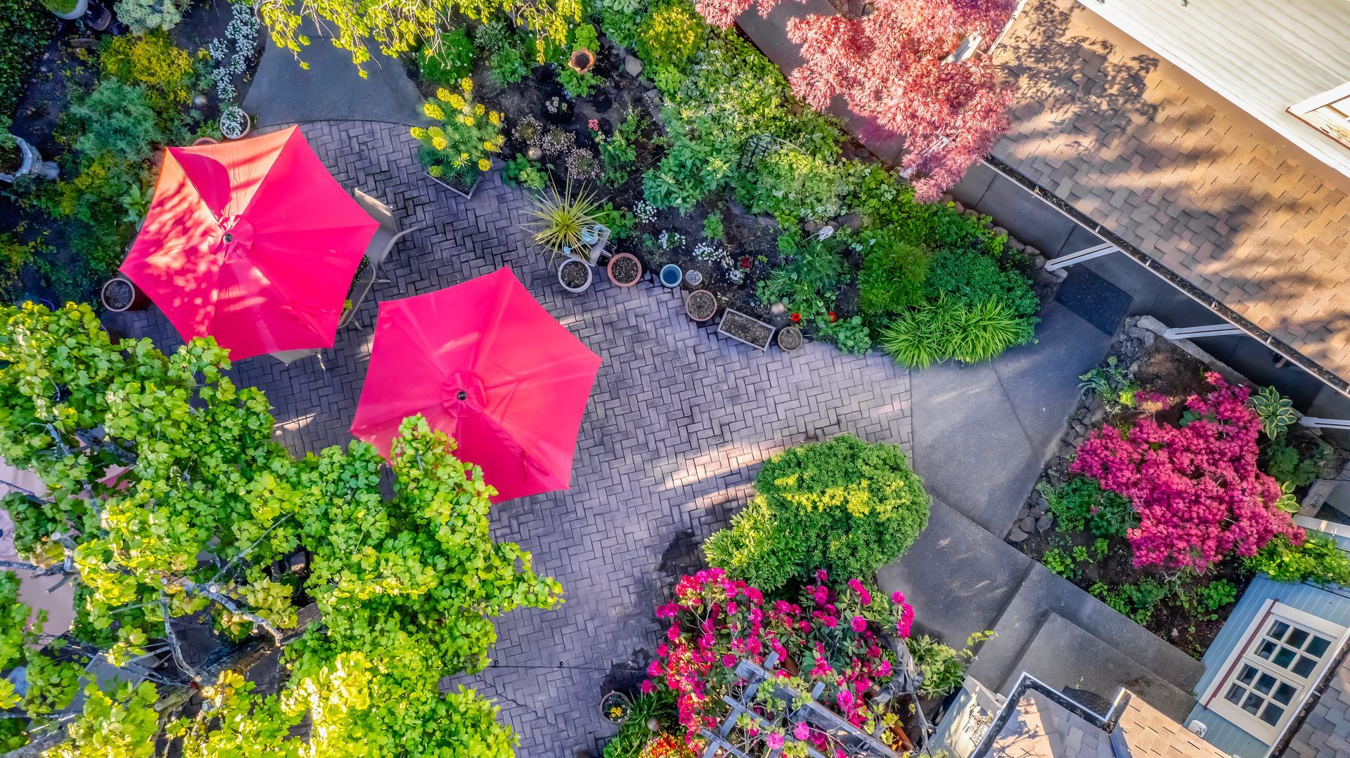An aerial view of a garden with two red umbrellas and flowers.