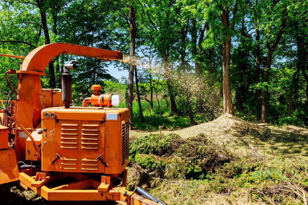 Orange Wood Chipper Spewing Wood Chips; Trees in the Background — Slash Mulch Co in Googa Creek, QLD