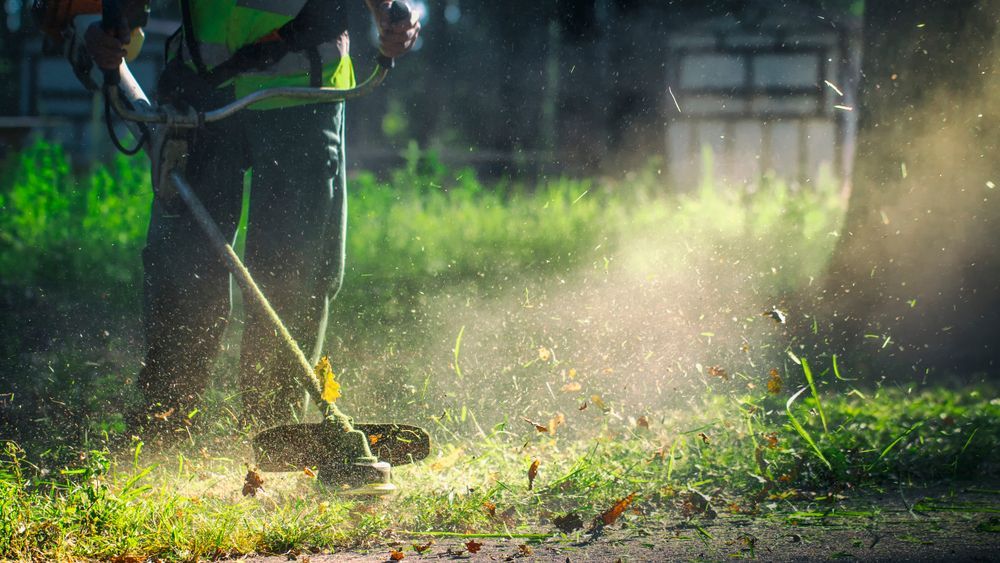 a Person Using a Weed Wacker, Kicking Up Grass and Dust, in a Green Lawn Setting — Slash Mulch Co in Googa Creek, QLD