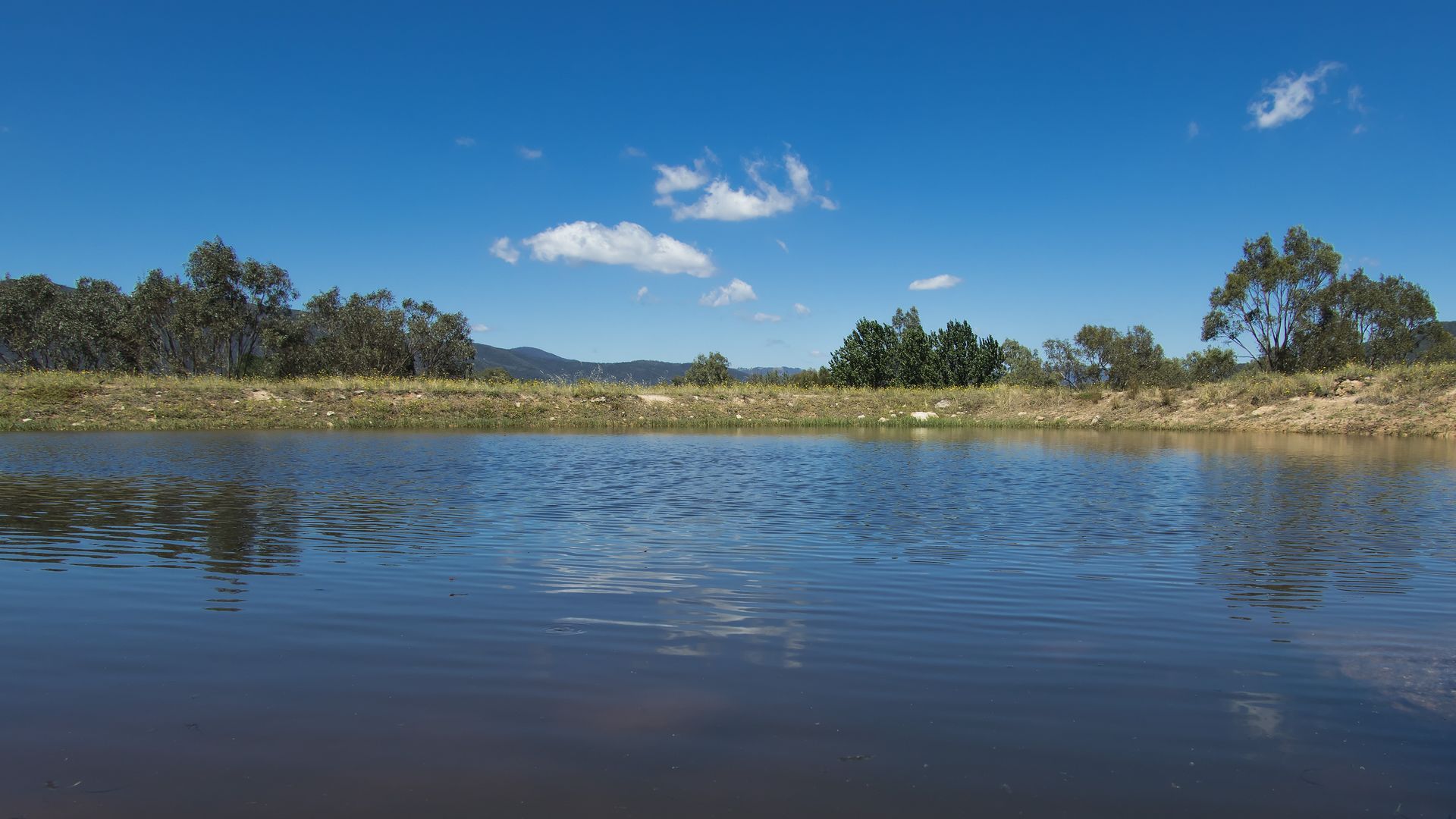 A Large Pond Lined With the Dam — Slash Mulch Co in Googa Creek, QLD