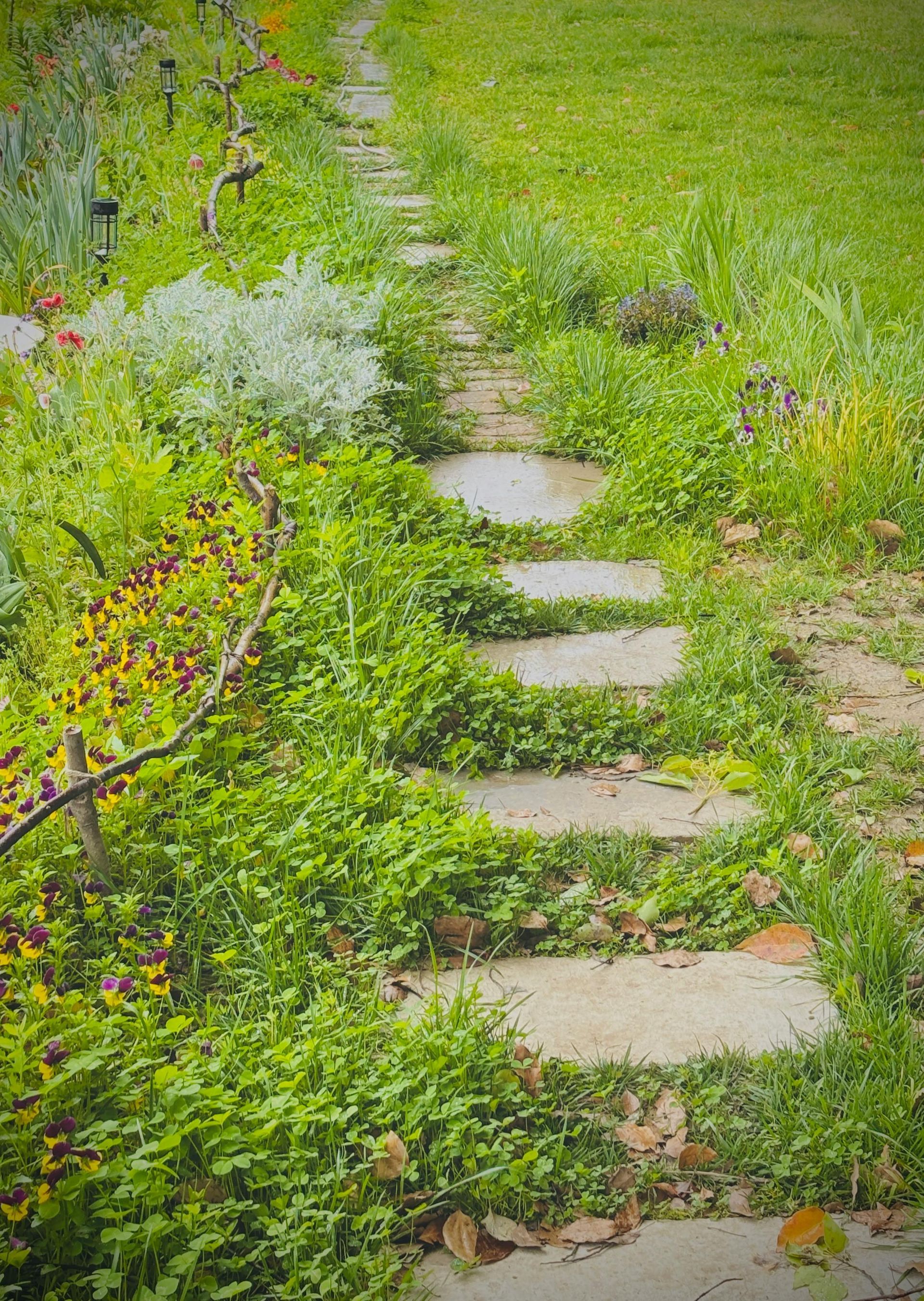 Stone stepping path through a lush green garden with wildflowers