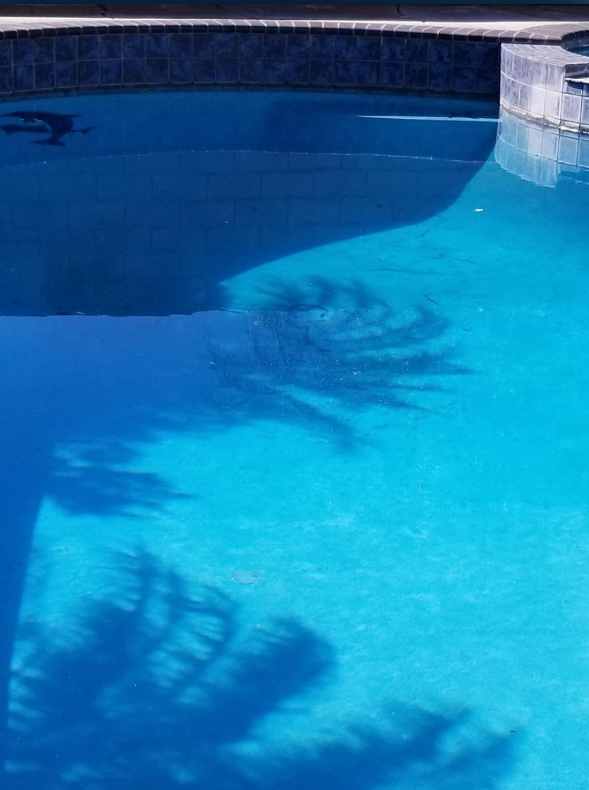 The deep blue water of a swimming pool with the shadows of palm tree fronds cast across its surface.