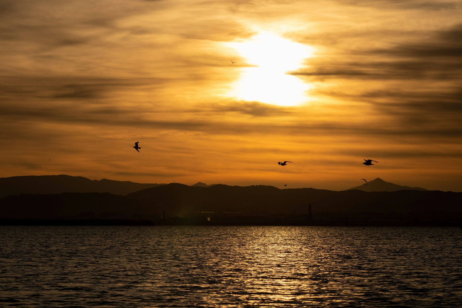Albufera Natural Park
