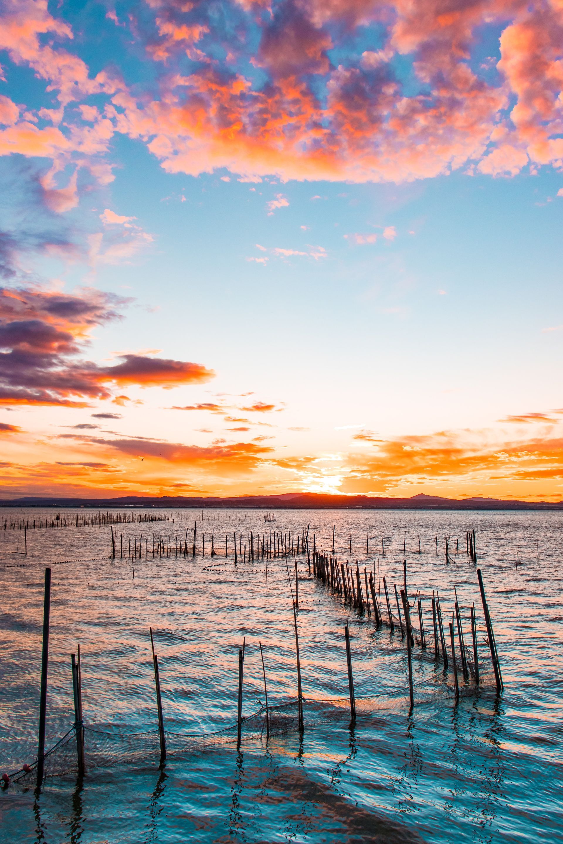 Albufera Albufera