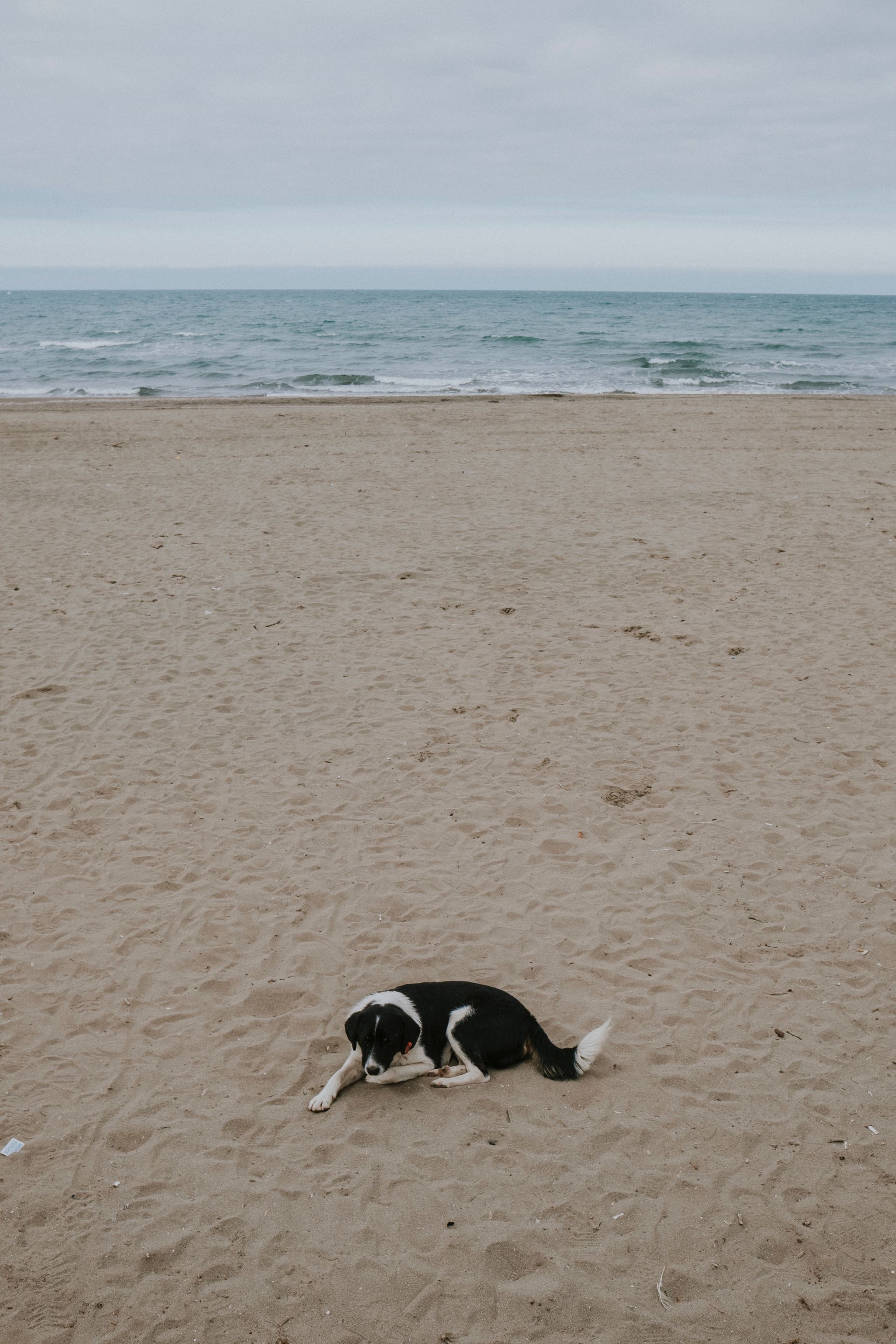 Almeerderstrand