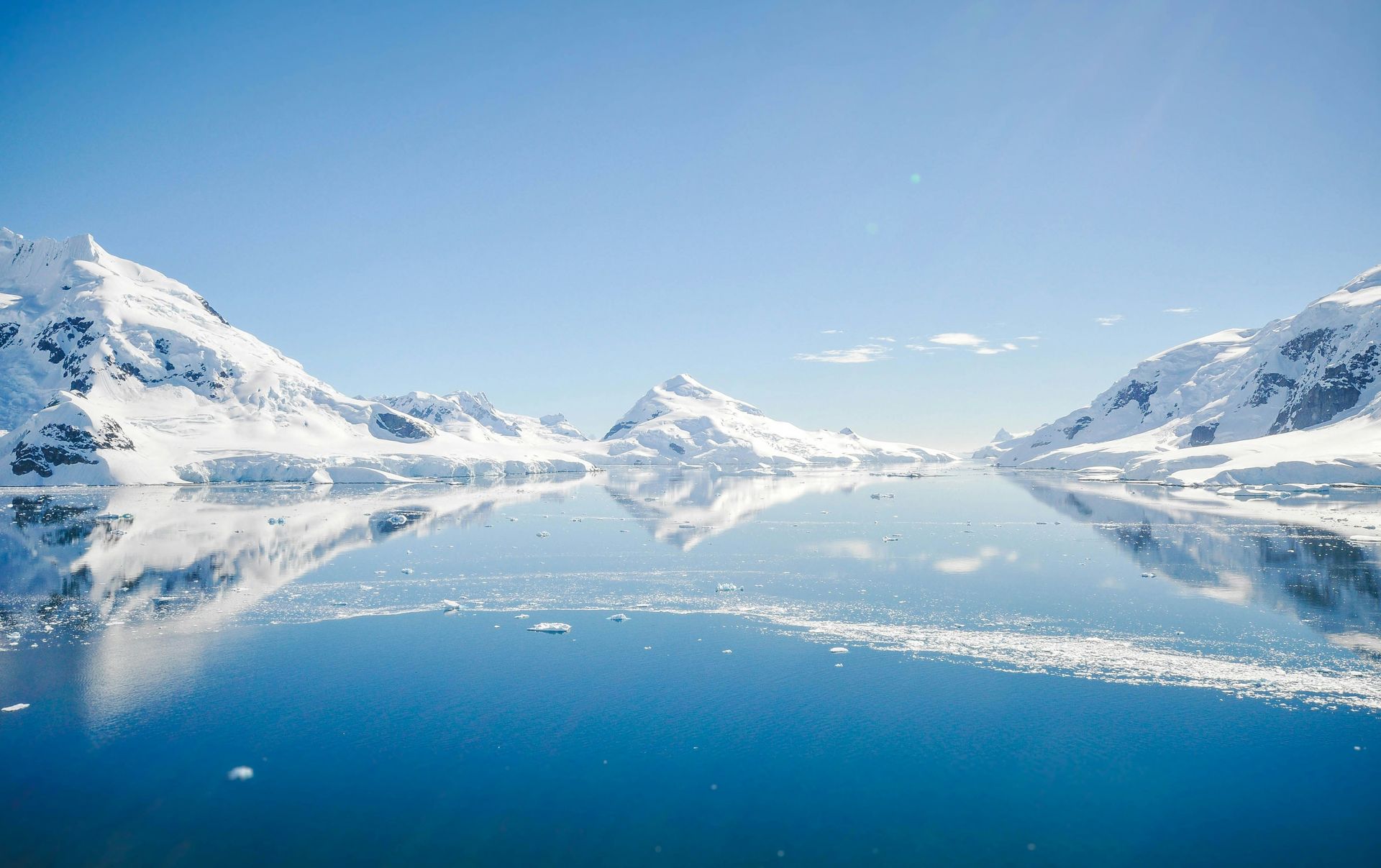 Antarctica Antarctica