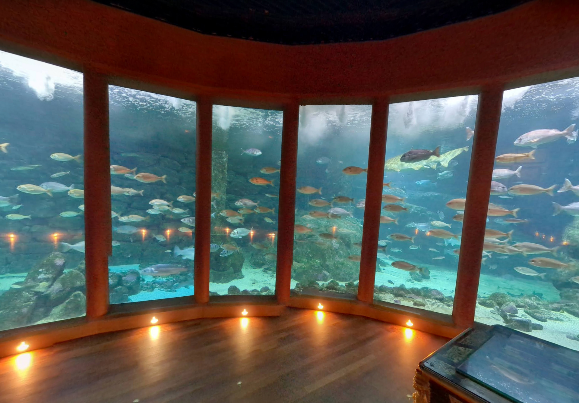 Aquarium Finisterrae by Google Earth Aquarium Finisterrae by Google Earth
