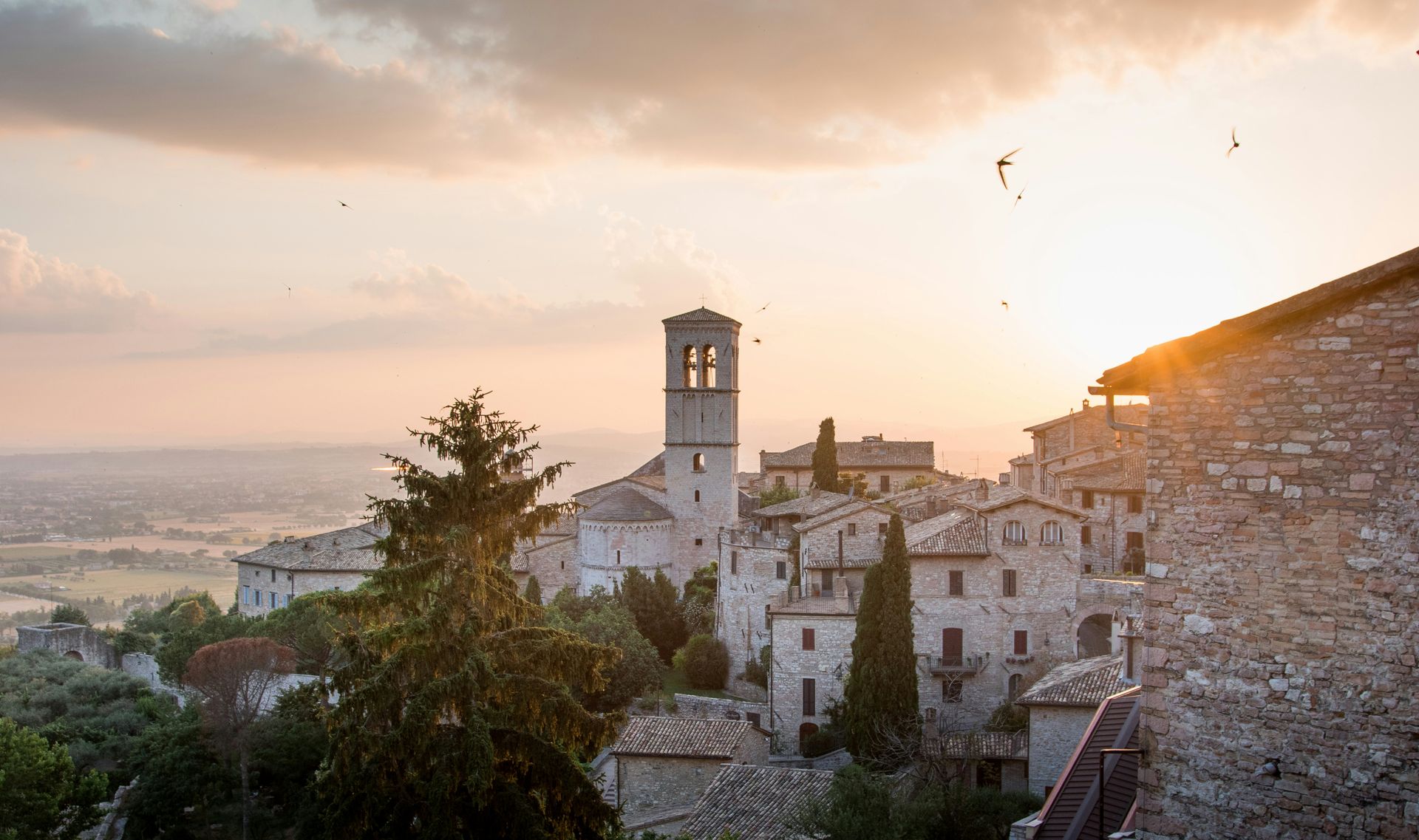 Assisi Assisi