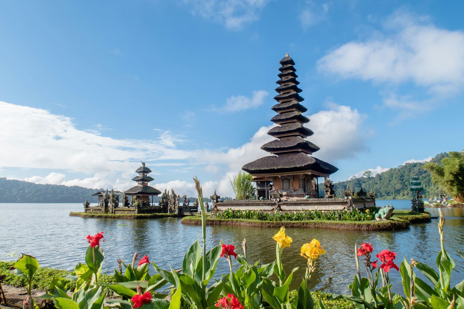 Bali Bali