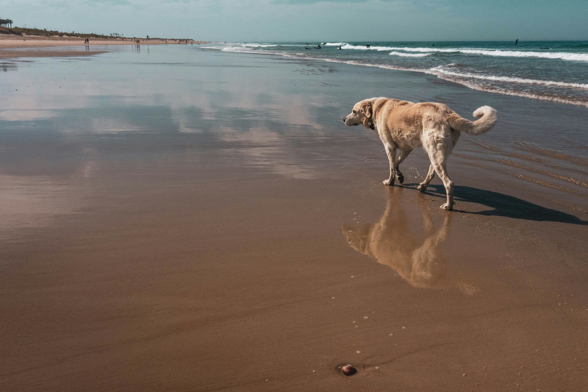 Beach of Las Negras