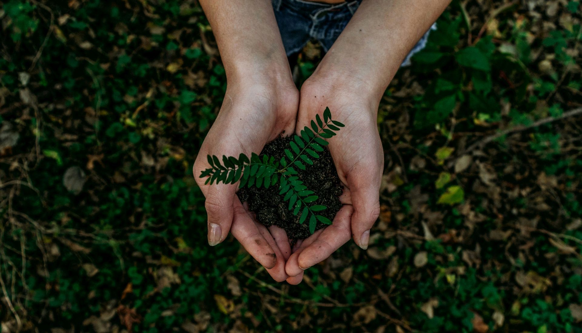 Benefits of Sustainable Travel Benefits of Sustainable Travel