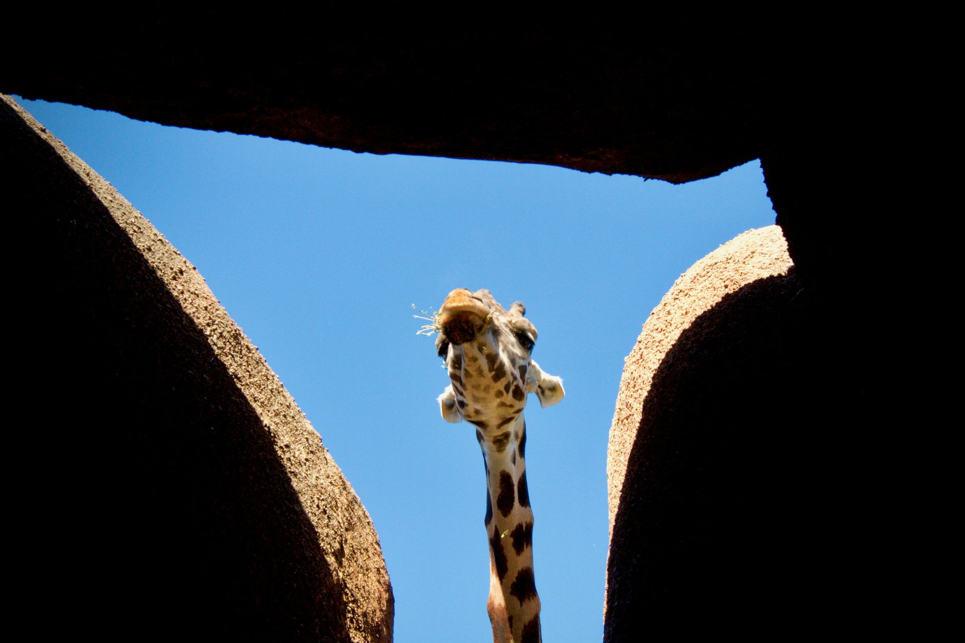 Bioparc Valencia