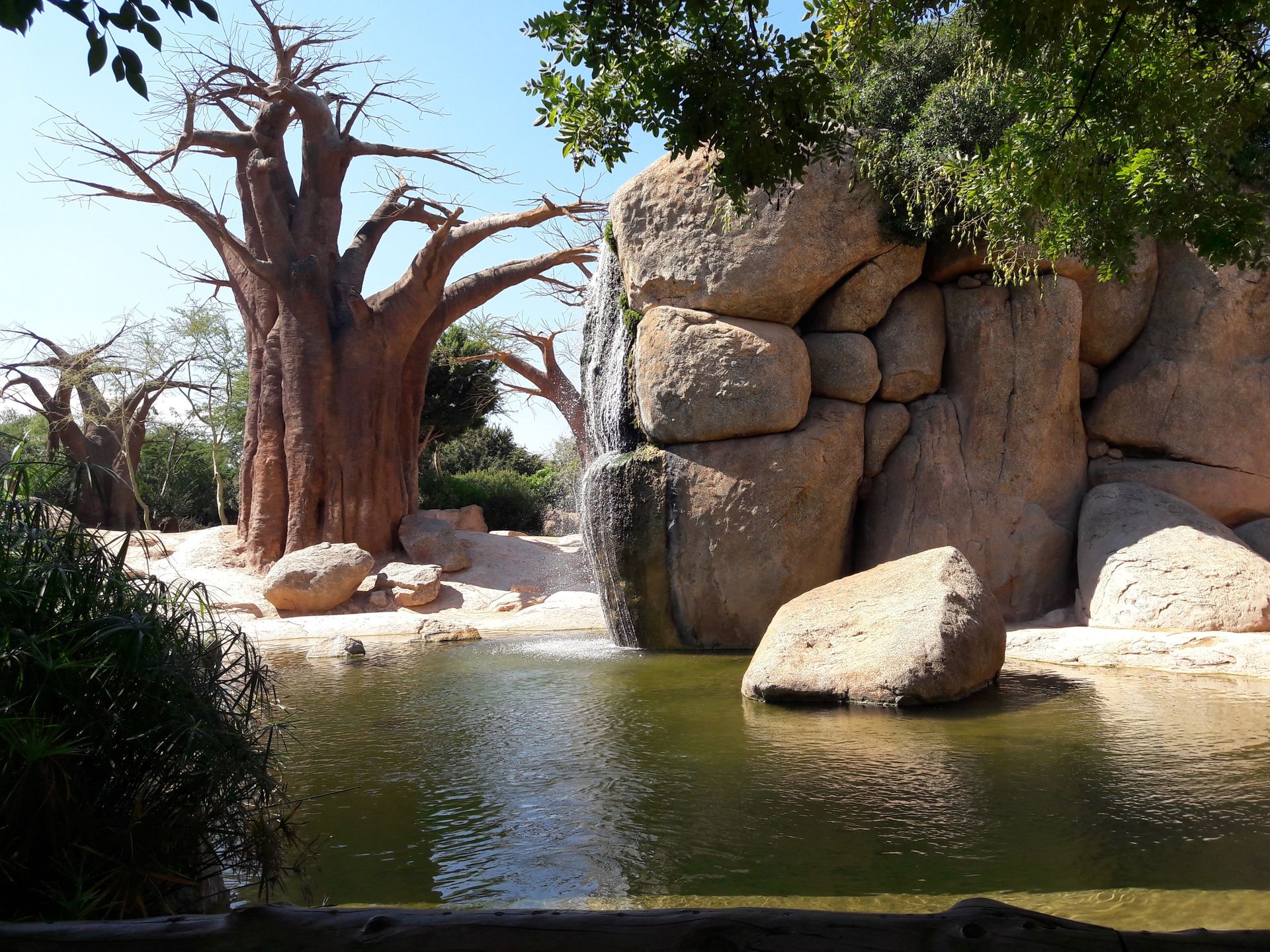 Bioparc of Valencia Bioparc of Valencia
