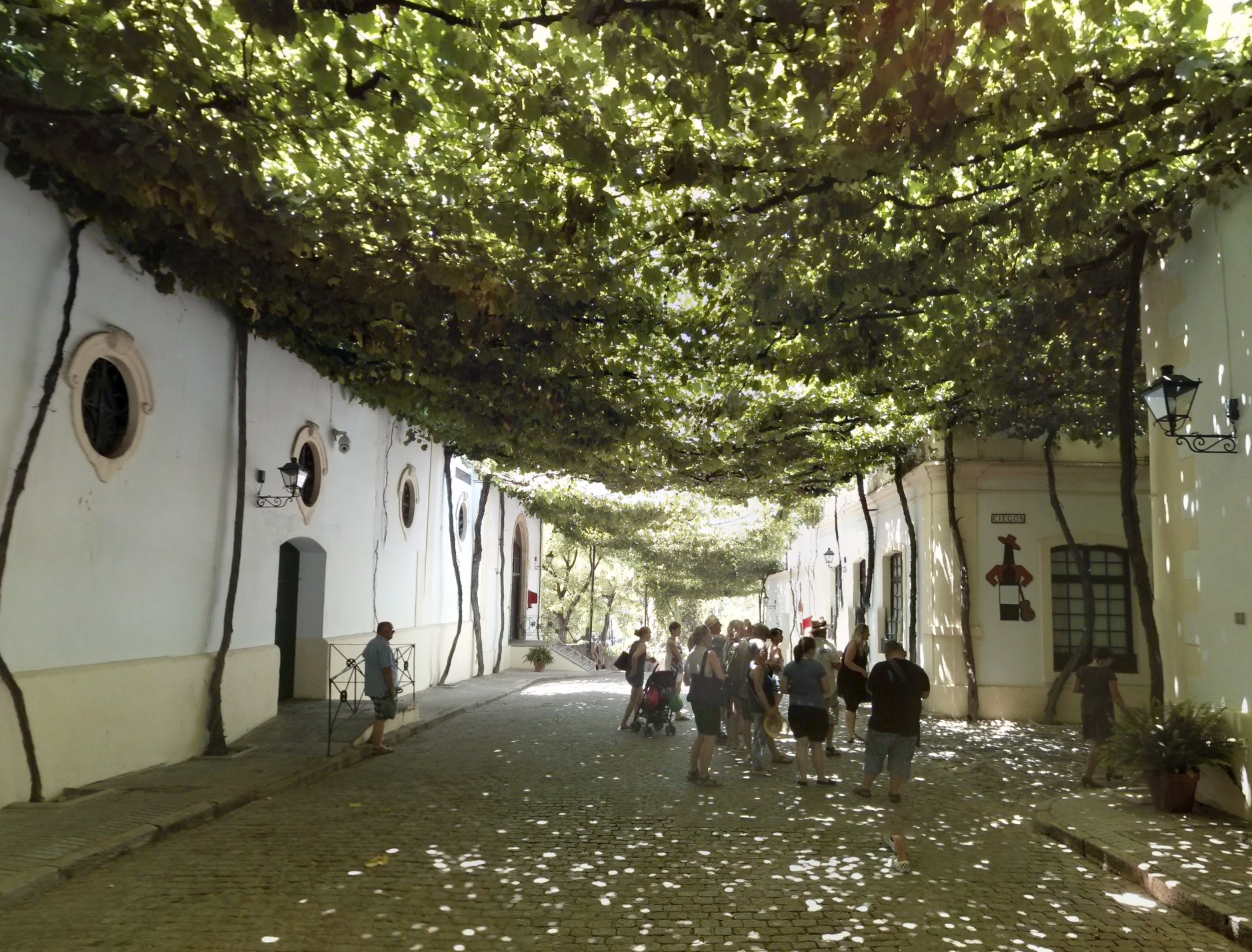 Bodega Tio Pepe by Google Earth