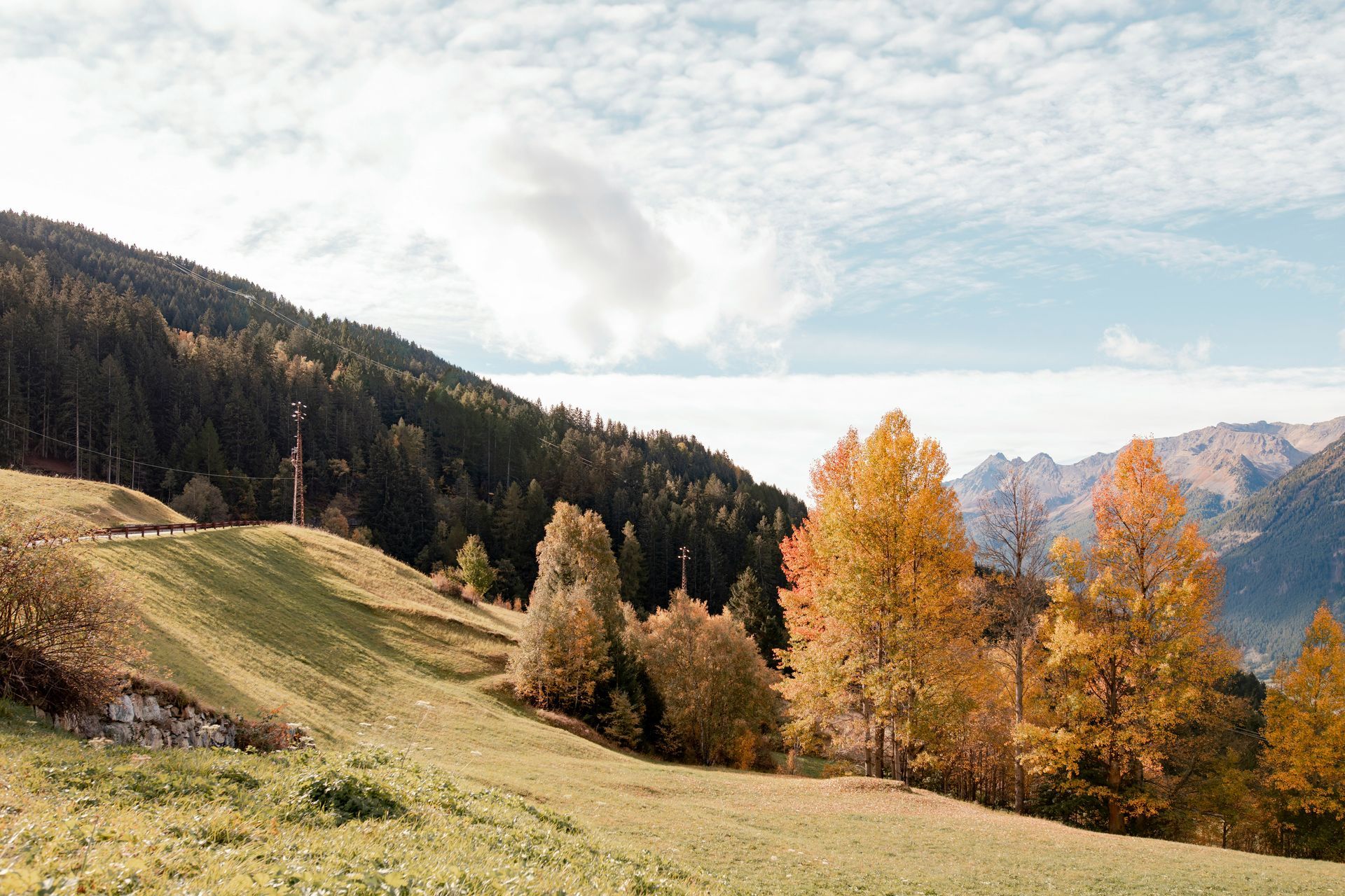 Bormio