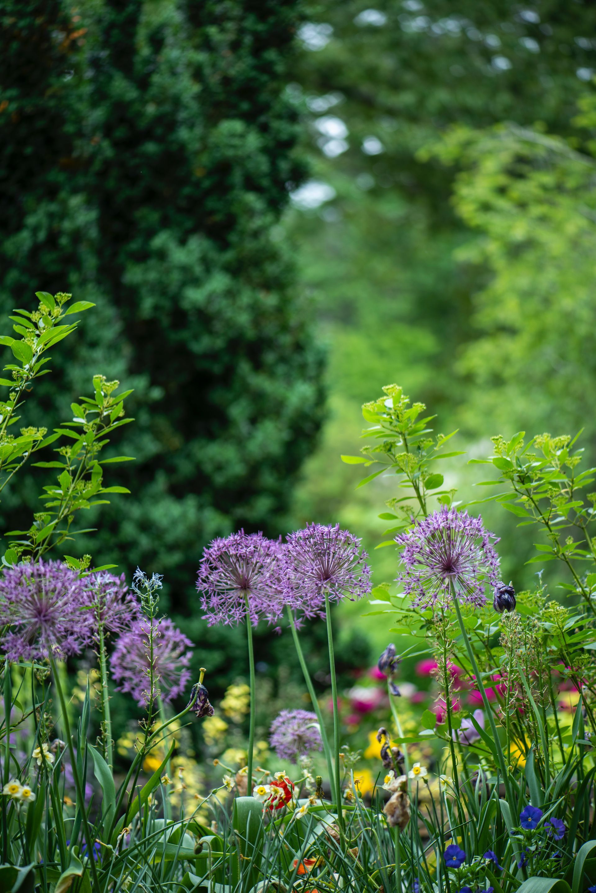 Botanical Garden of Gijón Botanical Garden of Gijón