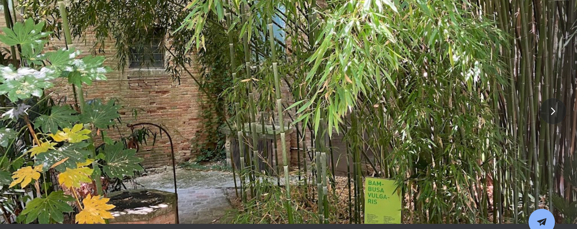 Botanical Garden of the University By google earth