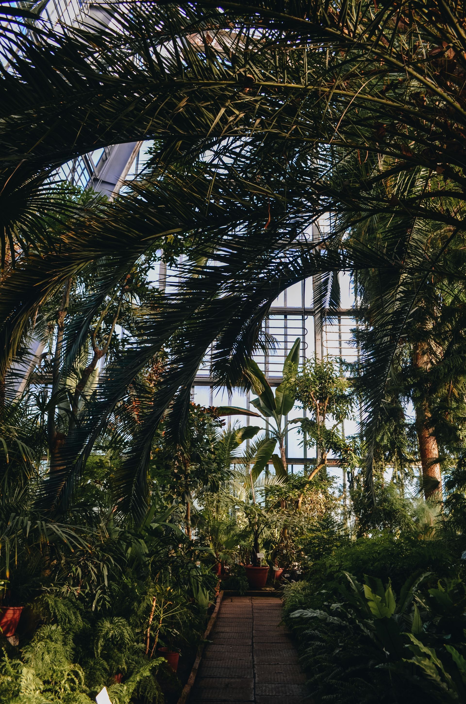 Botanical Garden